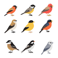 Set of birds in a flat design style on a white background