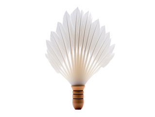 a feathered shuttlecock on a white background