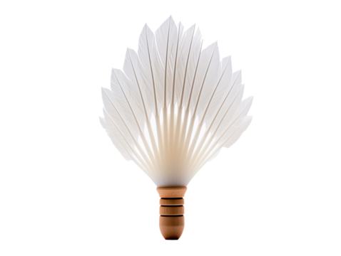 a feathered shuttlecock on a white background