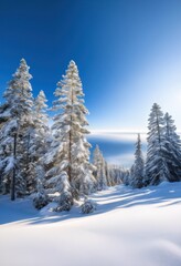 Fototapeta premium serene frosty winter landscape featuring majestic snow covered trees under clear blue sky, cold, ice, mountain, nature, snowdrift, snowflakes, pines, white