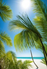 Obraz premium colorful green palm fronds stretching bright blue sky under radiant sunlight relaxing tropical atmosphere, leaf, nature, foliage, vibrant, outdoor, landscape