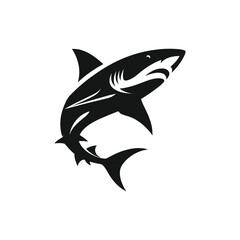 shark illustration