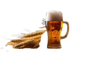 Empty beer glass with frothy residue next to a pile of wheat, hops, and barley with a wooden crate of malt in the on a white background.