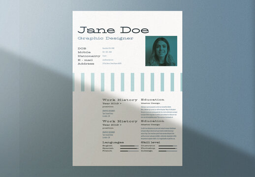 Professional Curriculum Vitae Layout
