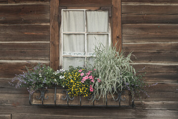 window with flowers in the garden