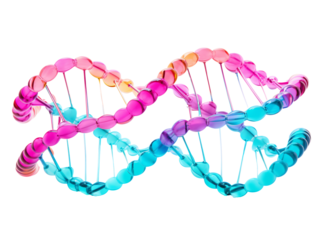 a colorful dna model