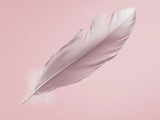 Obraz premium White Feather on Pink Background