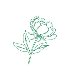 abstract sketch with one continuous line style on a white background. Concept of blooming flowers
