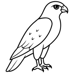 Majestic Hawk Perched on a Branch Vector Illustration of Nature's Fierce Bird
