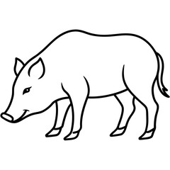 Wild Boar Sniffing the Ground Vector Illustration Capturing Nature's Curious Forager
