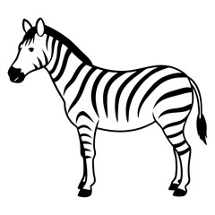 Beautiful Zebra Standing Tall in Nature Stunning Vector Illustration for Designers
