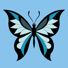 Colorful butterfly wings vector illustration for digital art and design inspiration
