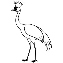 Explore the elegance of the crowned crane with this detailed tall bird vector illustration
