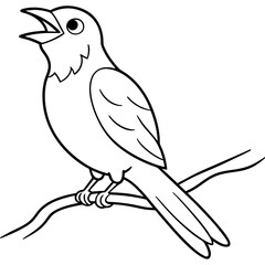 Obraz premium Cuckoo Singing on a Tree Branch Stunning Vector Illustration of Birds in the Wild 