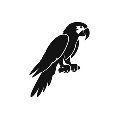 parrot vector illustration 