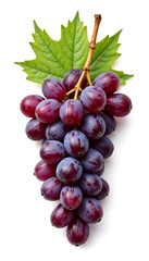 Fototapeta premium a bunch of red grapes with a yellow stem