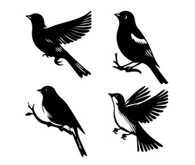 set of silhouettes of birds, a collection of birds