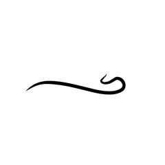 Calligraphic swoosh tail 