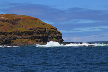 phillip island