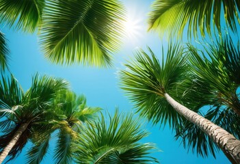 Fototapeta premium vibrant green palm leaves under bright clear blue sky creating lively tropical atmosphere, leaf, plant, foliage, sunlight, shade, texture, nature, botanical