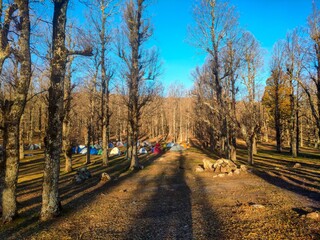 camping tents in the middle of leafless trees in the Tamezguida forest near the Lake of Serpents (Leghdir Melhenache) and the summit of Tamezguida at 1626 km altitude at sunset. Mila. Jijel.