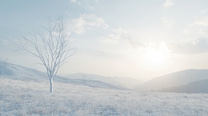 Obraz premium A barren hillside showing the effects of deforestation over time