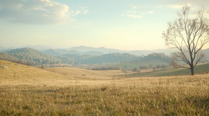 Obraz premium A barren hillside showing the effects of deforestation over time