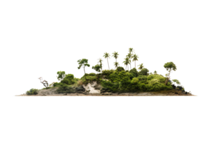 a small island with trees