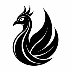 Fototapeta premium peacock 