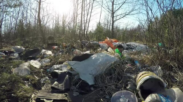 Unauthorized dumping of garbage and waste in the forest. Pollution of the environment and nature 