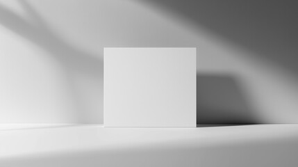 Minimalist White Canvas With Soft Shadow Light on White Background