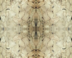 Cross section of the brain. Graphically modified wooden wine cork.