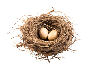 a nest with two eggs