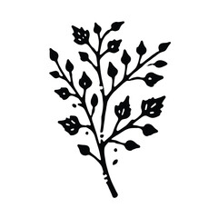Birch Branch Silhouette