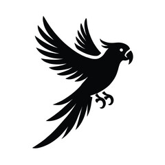 Obraz premium Parrot Silhouette Flight