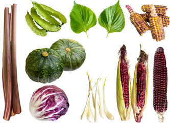 切り抜き透過素材セットー野菜15