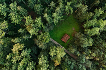 Rustic Cabin Hidden in Dense Pine Forest from Above