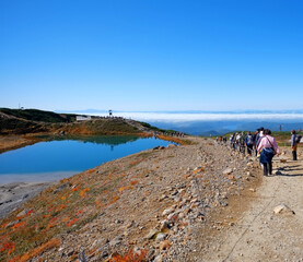 Fototapeta premium 旭岳 北海道