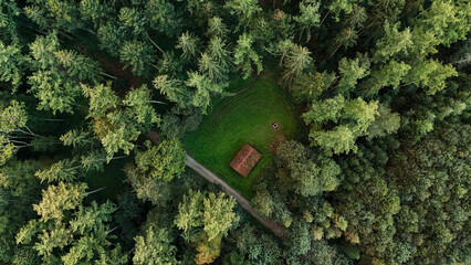 Naklejka premium Secluded Cabin in a Pine Forest from Aerial View