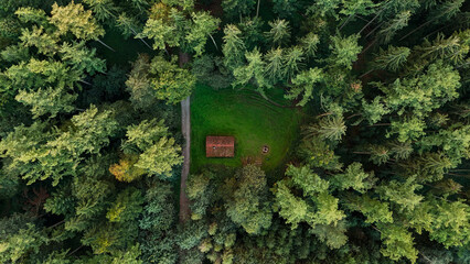 Cozy Cabin in the Forest from Aerial View