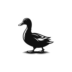 duck isolated on white vector illustration