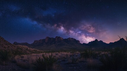 Naklejka premium Night Sky with Many Stars