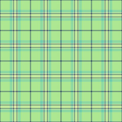 Advertising textile seamless vector, repeatable patterns fabric tartan plaid. Greeting card pattern check texture background in green and pastel colors.