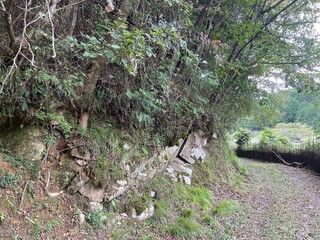 密集した森林や険しい地形の中を蛇行する、舗装されていない山道。自然の美しさに囲まれたこの道は、ハイカーや自然愛好家にとって、静かで落ち着いたひとときを提供します。