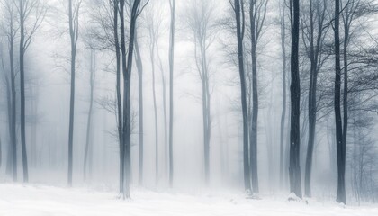 Fototapeta premium A misty forest with tall trees and snow on the ground.
