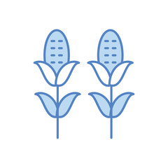 Corn Stalks vector icon