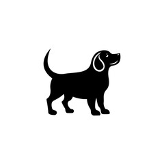 Vector  dog on white background
