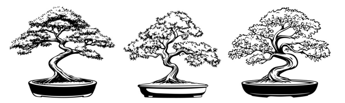 hand-drawn bonsai trees with distinct foliage patterns, black vector drawing