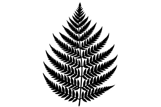 recommend clip art: fern leaf silhouette icon illustration 