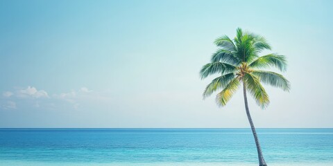 Fototapeta premium A serene beach scene featuring a lone palm tree against a clear blue sky and tranquil ocean waves, perfect for vacation themes.